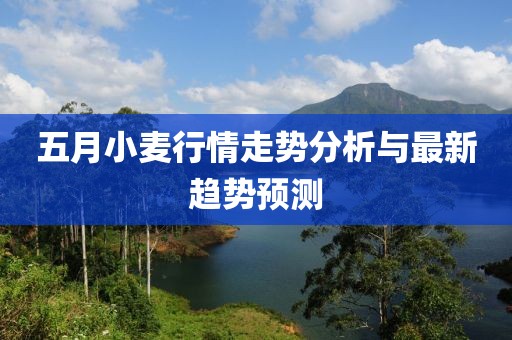 五月小麦行情走势分析与最新趋势预测