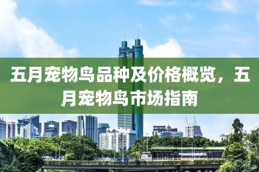 五月宠物鸟品种及价格概览，五月宠物鸟市场指南