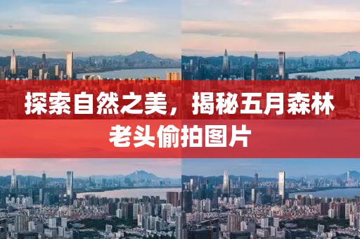 探索自然之美，揭秘五月森林老头偷拍图片