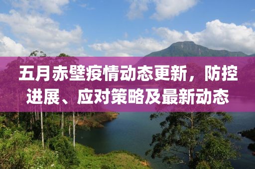 五月赤壁疫情动态更新，防控进展、应对策略及最新动态