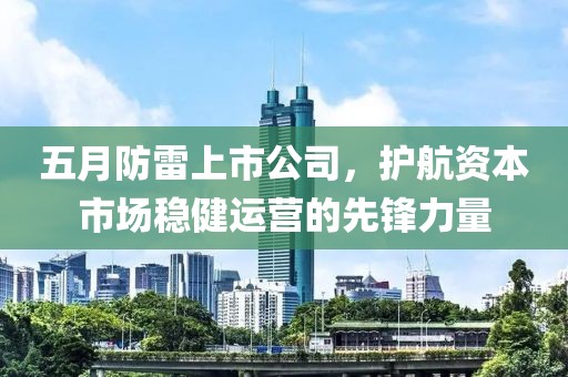 五月防雷上市公司，护航资本市场稳健运营的先锋力量