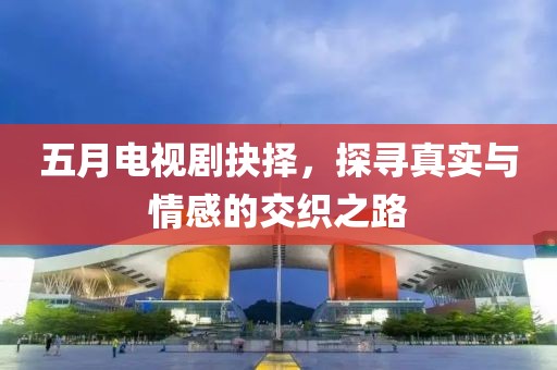 五月电视剧抉择，探寻真实与情感的交织之路