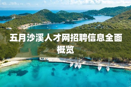 五月沙溪人才网招聘信息全面概览