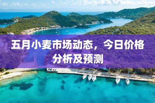 五月小麦市场动态，今日价格分析及预测