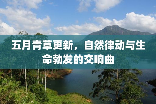 五月青草更新，自然律动与生命勃发的交响曲