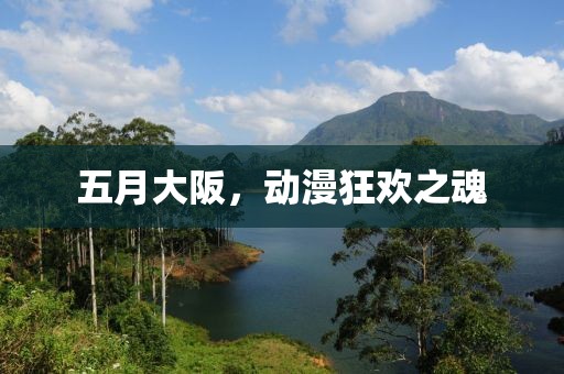五月大阪，动漫狂欢之魂
