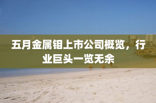五月金属钼上市公司概览，行业巨头一览无余