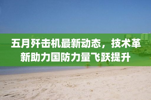 五月歼击机最新动态，技术革新助力国防力量飞跃提升