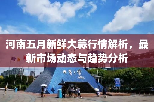 河南五月新鲜大蒜行情解析，最新市场动态与趋势分析