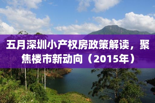五月深圳小产权房政策解读，聚焦楼市新动向（2015年）