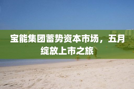 宝能集团蓄势资本市场，五月绽放上市之旅