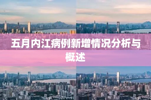 五月内江病例新增情况分析与概述