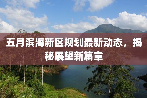 五月滨海新区规划最新动态，揭秘展望新篇章