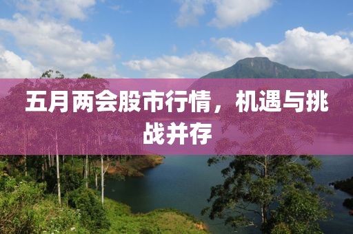 五月两会股市行情，机遇与挑战并存