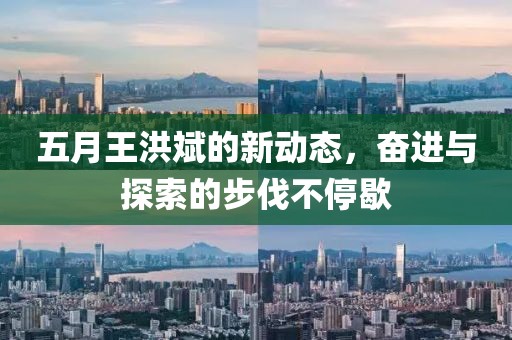 五月王洪斌的新动态，奋进与探索的步伐不停歇