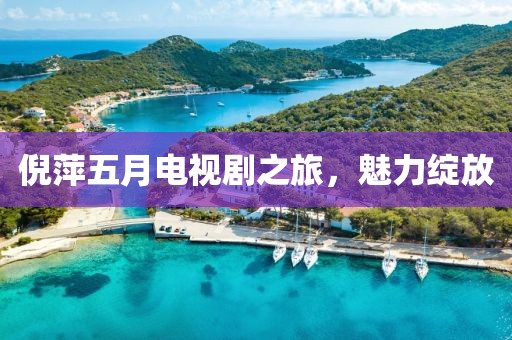 倪萍五月电视剧之旅，魅力绽放