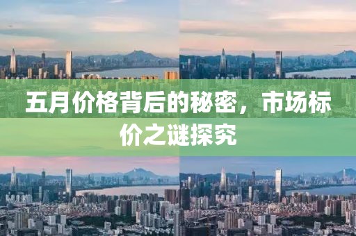 五月价格背后的秘密，市场标价之谜探究