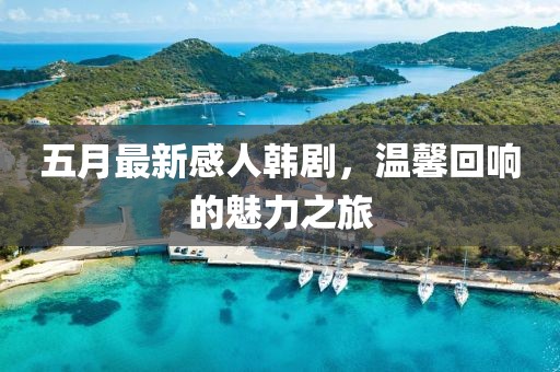五月最新感人韩剧，温馨回响的魅力之旅