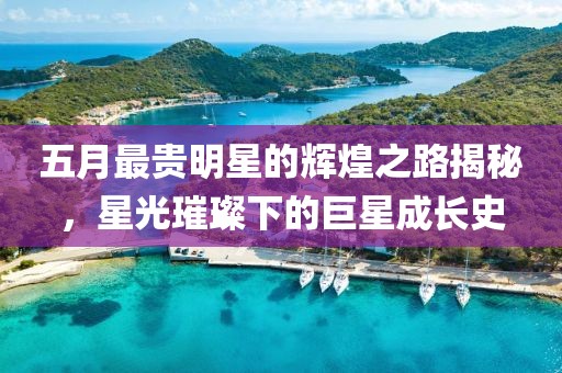 五月最贵明星的辉煌之路揭秘，星光璀璨下的巨星成长史