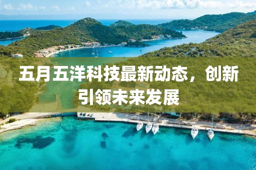 五月五洋科技最新动态，创新引领未来发展