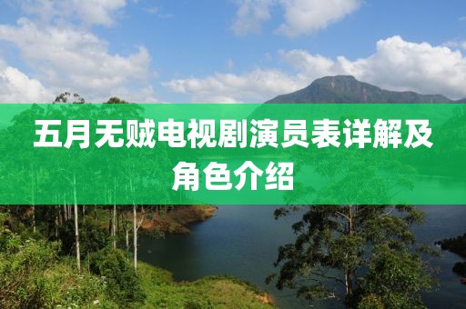 五月无贼电视剧演员表详解及角色介绍