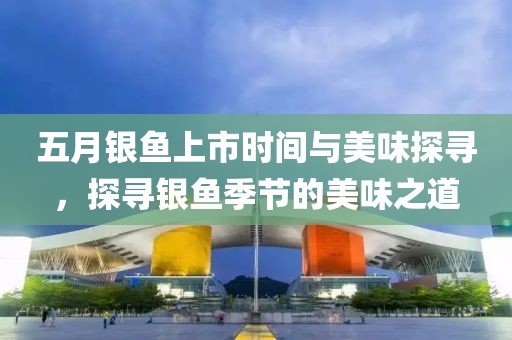 五月银鱼上市时间与美味探寻，探寻银鱼季节的美味之道
