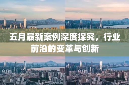 五月最新案例深度探究，行业前沿的变革与创新