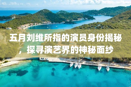 五月刘维所指的演员身份揭秘，探寻演艺界的神秘面纱