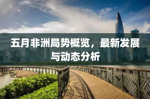 五月非洲局势概览，最新发展与动态分析
