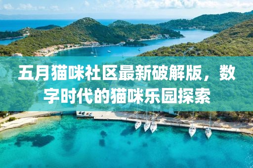 五月猫咪社区最新破解版，数字时代的猫咪乐园探索