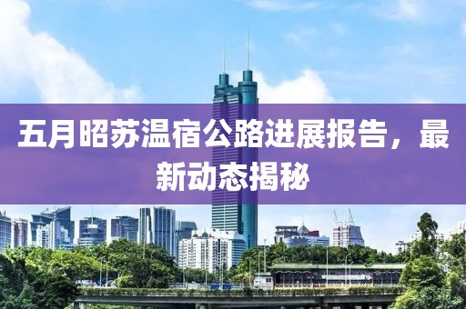 五月昭苏温宿公路进展报告，最新动态揭秘
