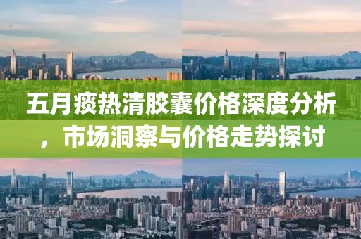 五月痰热清胶囊价格深度分析，市场洞察与价格走势探讨