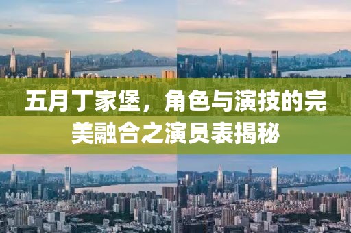 五月丁家堡，角色与演技的完美融合之演员表揭秘
