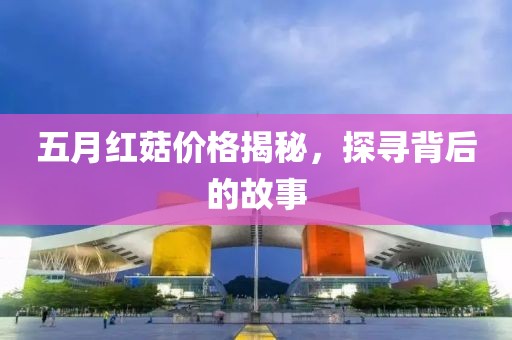 五月红菇价格揭秘，探寻背后的故事