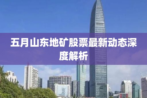 五月山东地矿股票最新动态深度解析