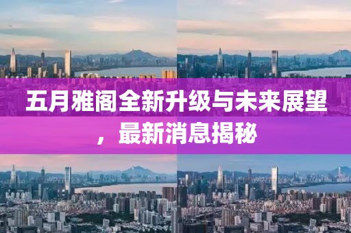 五月雅阁全新升级与未来展望，最新消息揭秘