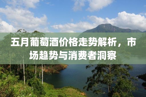 五月葡萄酒价格走势解析，市场趋势与消费者洞察