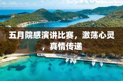 五月院感演讲比赛，激荡心灵，真情传递