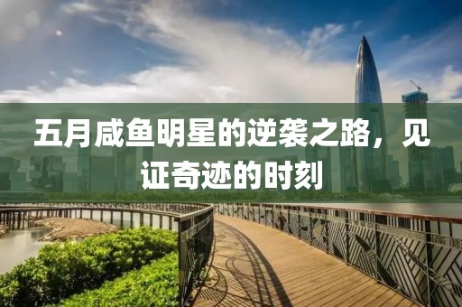 五月咸鱼明星的逆袭之路，见证奇迹的时刻