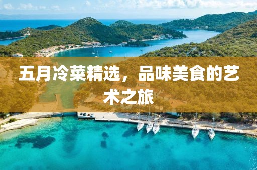 五月冷菜精选，品味美食的艺术之旅