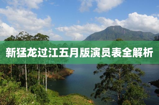 新猛龙过江五月版演员表全解析