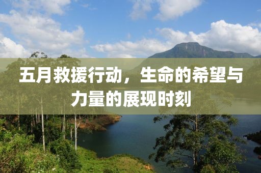 五月救援行动，生命的希望与力量的展现时刻