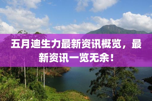 五月迪生力最新资讯概览，最新资讯一览无余！
