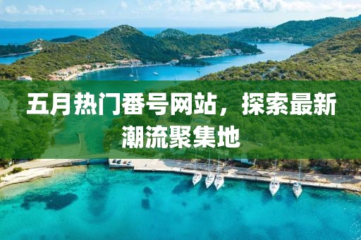 五月热门番号网站，探索最新潮流聚集地