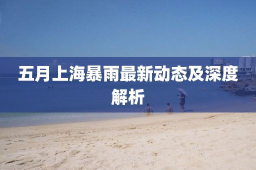 五月上海暴雨最新动态及深度解析