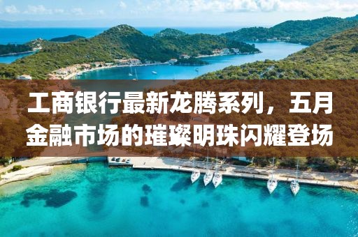 工商银行最新龙腾系列，五月金融市场的璀璨明珠闪耀登场
