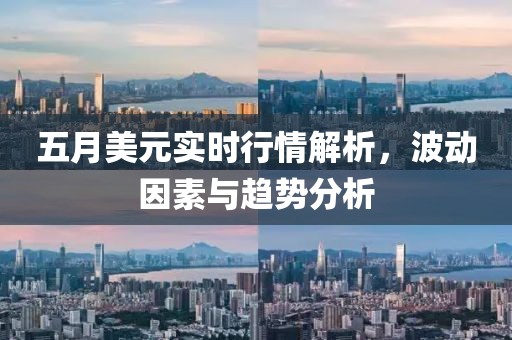五月美元实时行情解析，波动因素与趋势分析