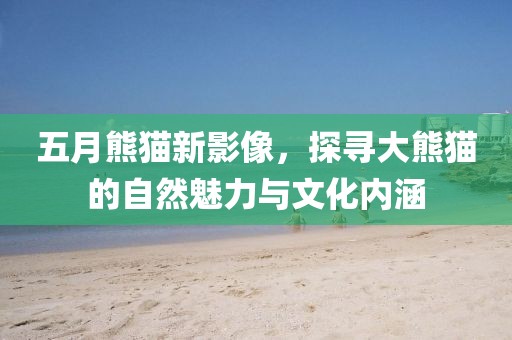 五月熊猫新影像，探寻大熊猫的自然魅力与文化内涵