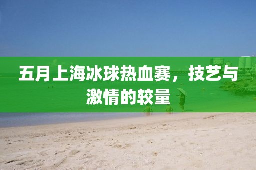 五月上海冰球热血赛，技艺与激情的较量