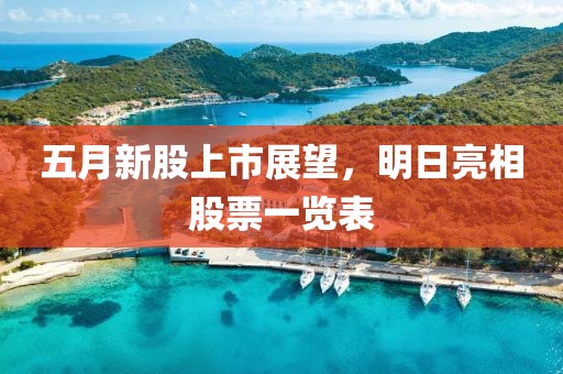 五月新股上市展望，明日亮相股票一览表